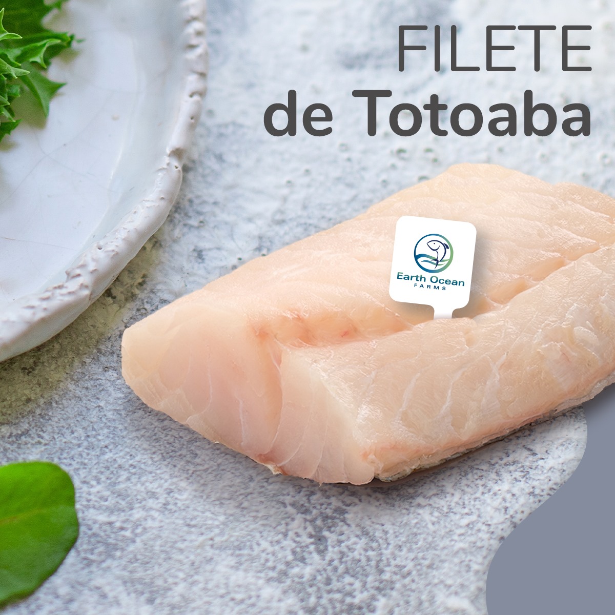 Carne de Totoaba 