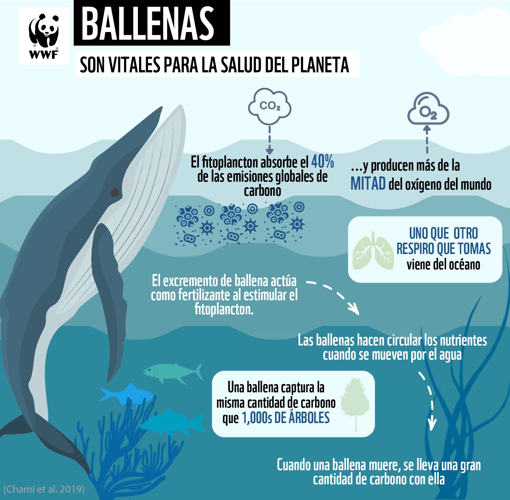 Ballenas cambio climático 