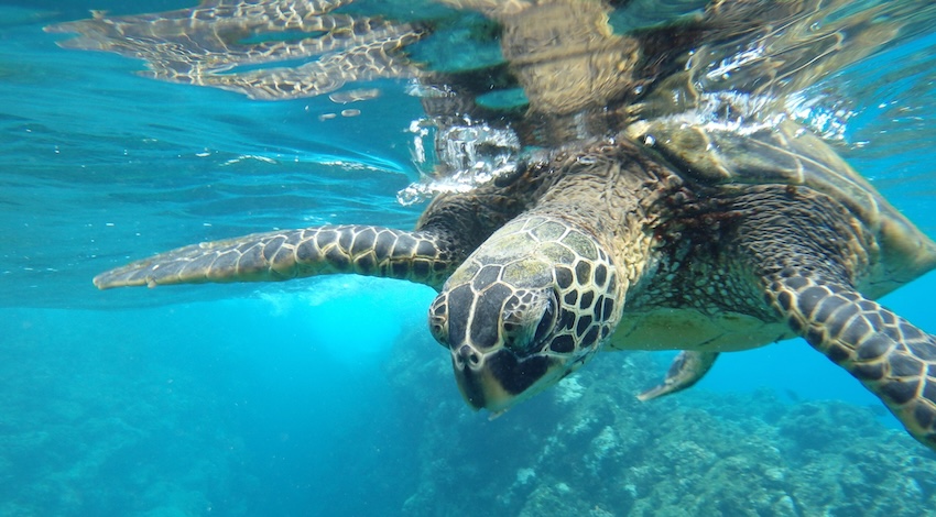 Parque Nacional Galápagos 