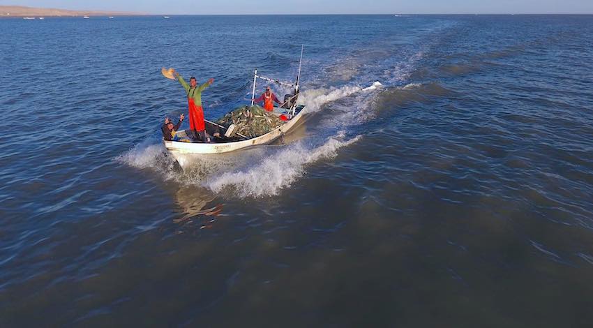 Pescadores Alto Golfo de California 