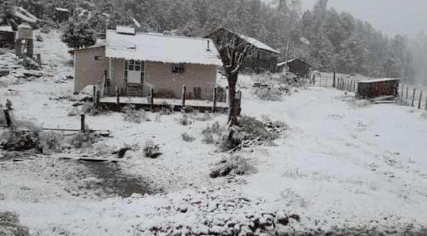 Nevadas 