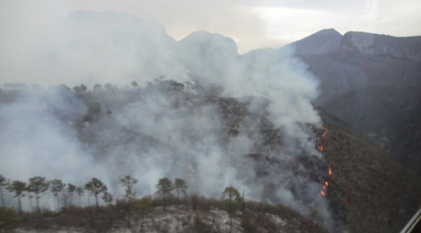 Incendio Forestal Cumbres de Monterrey