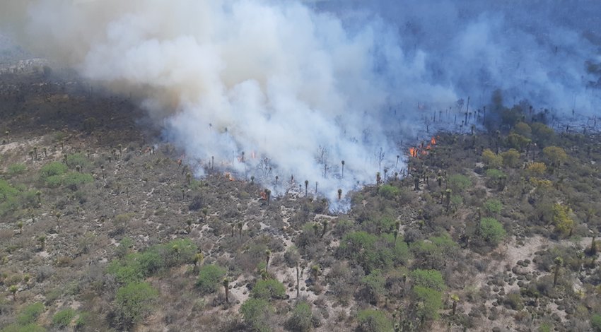 Incendios Forestales 