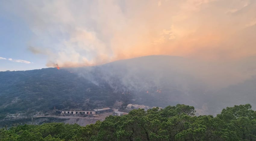Incendio forestal en el Cerro El Temeroso, en Mazapil, Zacatecas