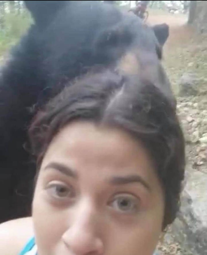 Oso Selfie Oso Selfie