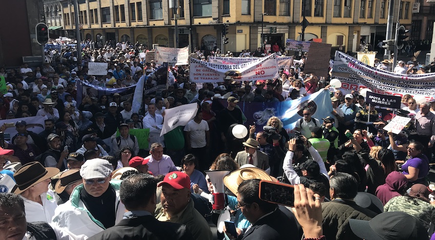 Marcha contra Ley Varela