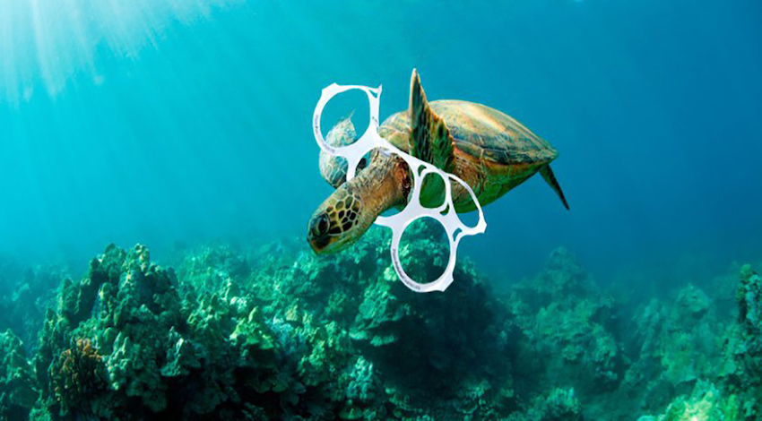 Plásticos en los océanos 