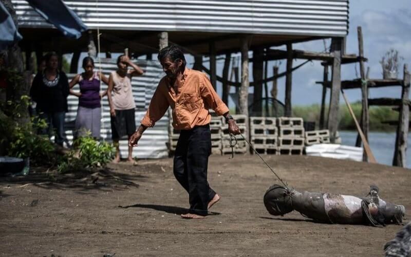 Muerte masiva de manatíes en Tabasco